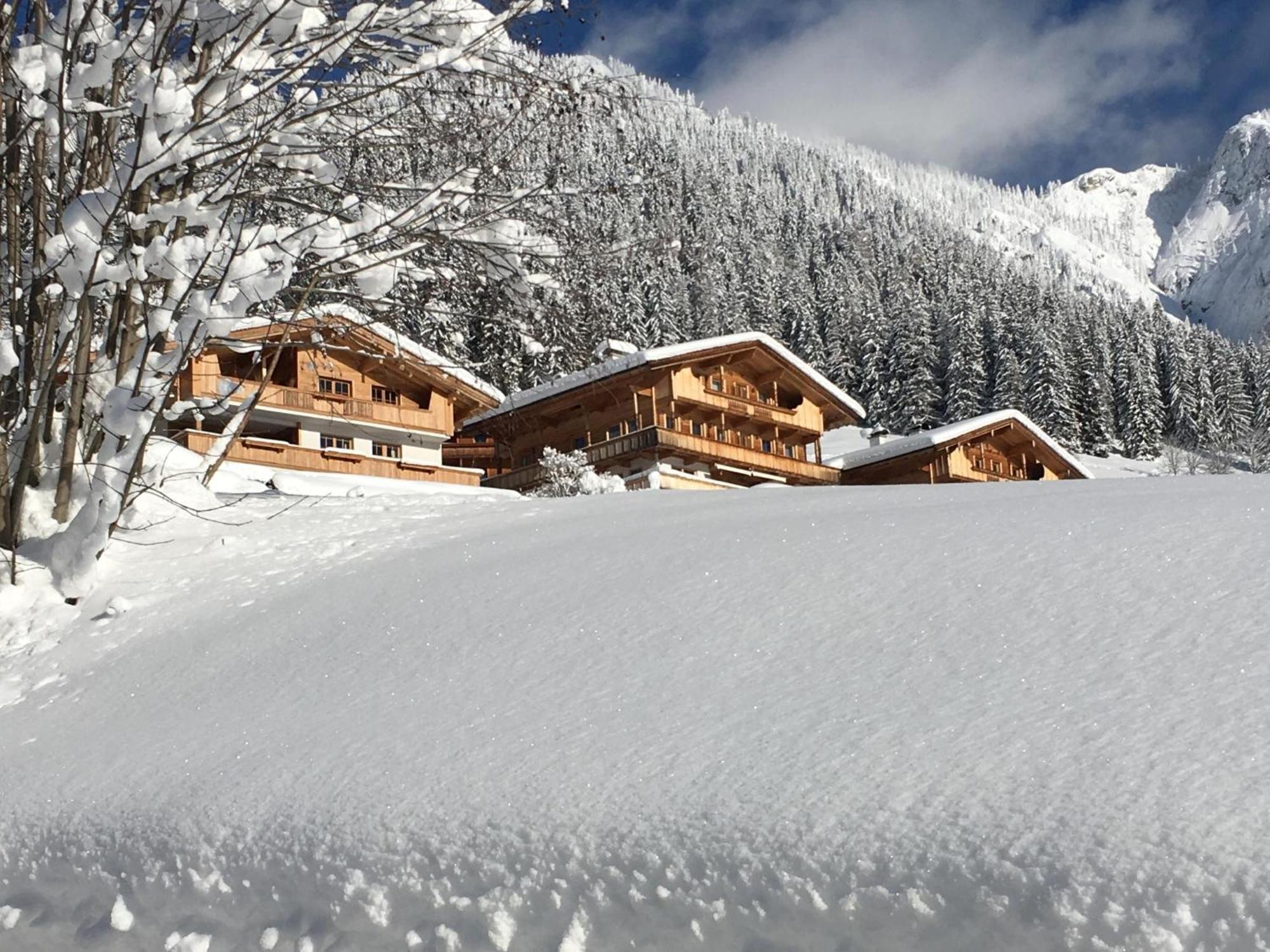 Haus Fernwald Top Tim Und Nynke Alpbach Exteriér fotografie